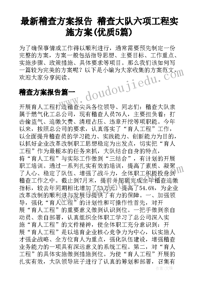 最新稽查方案报告 稽查大队六项工程实施方案(优质5篇)