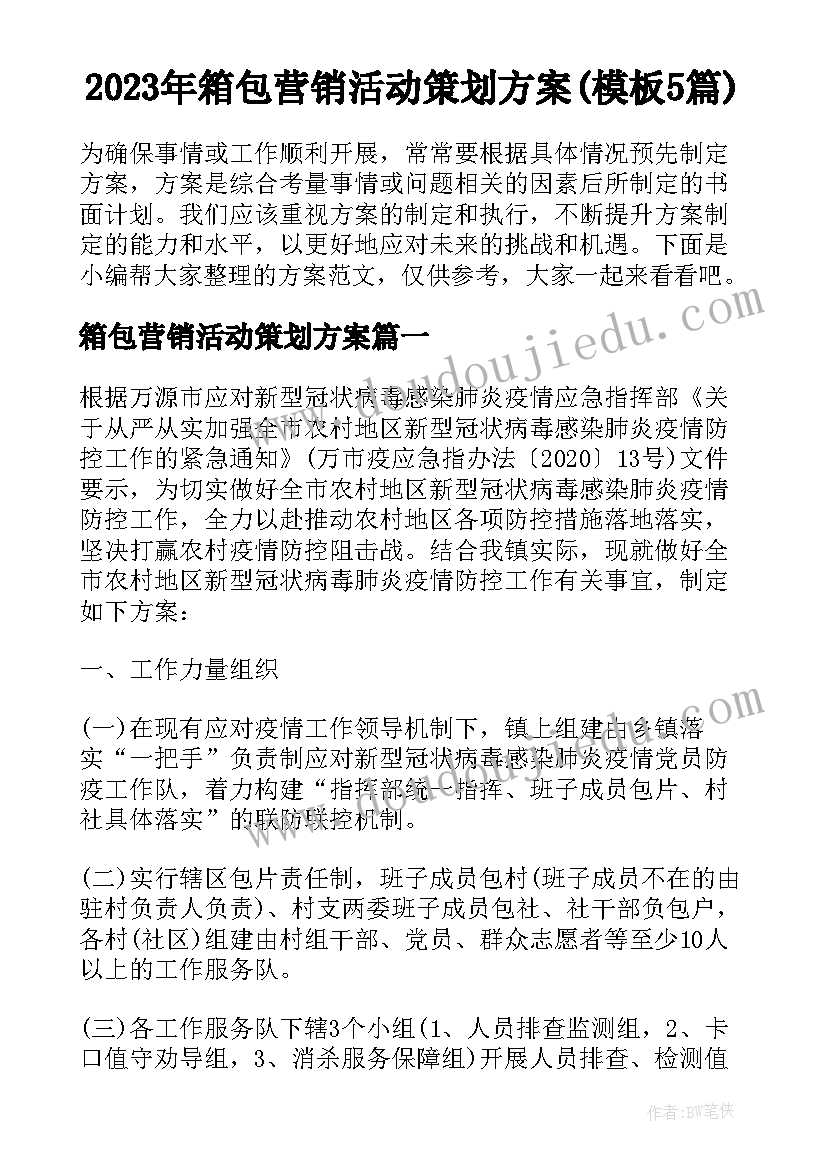 2023年箱包营销活动策划方案(模板5篇)