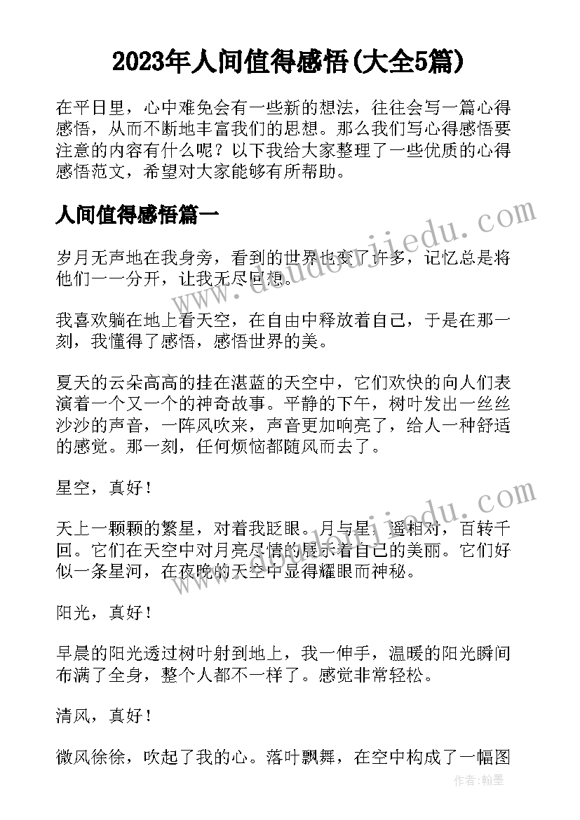 2023年人间值得感悟(大全5篇)