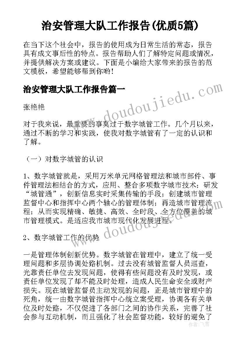 治安管理大队工作报告(优质5篇)