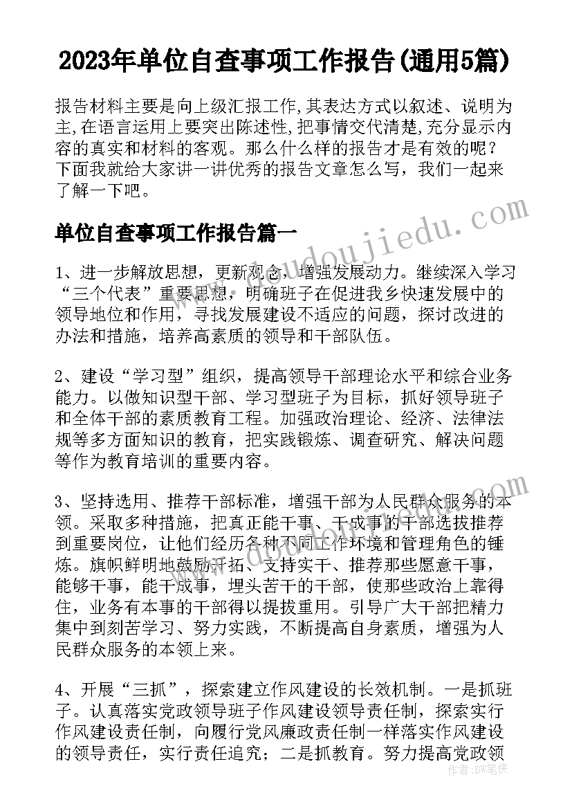 2023年单位自查事项工作报告(通用5篇)