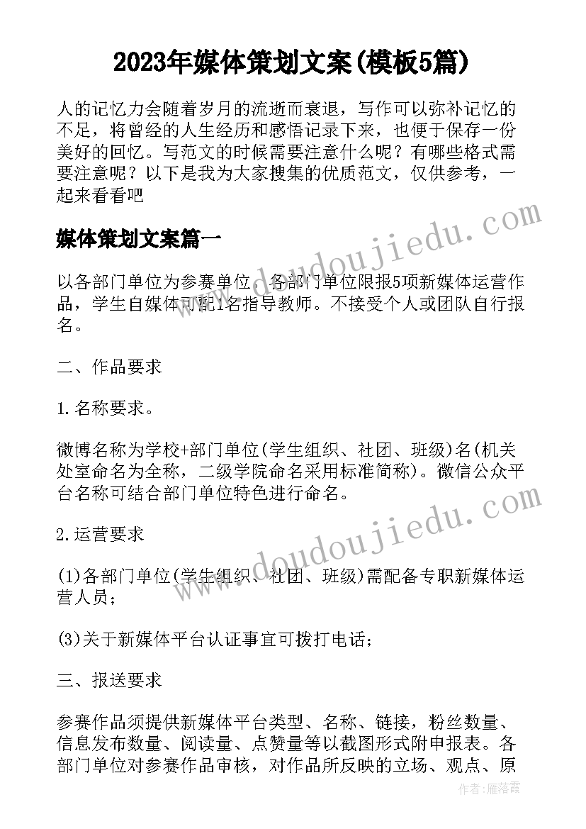 2023年媒体策划文案(模板5篇)