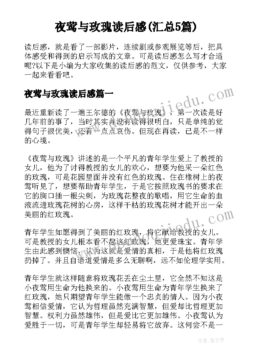 夜莺与玫瑰读后感(汇总5篇)