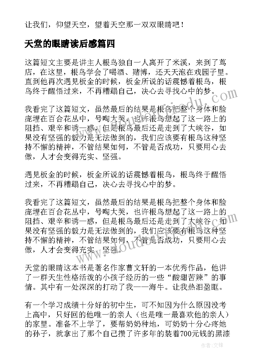 2023年天堂的眼睛读后感(优质5篇)