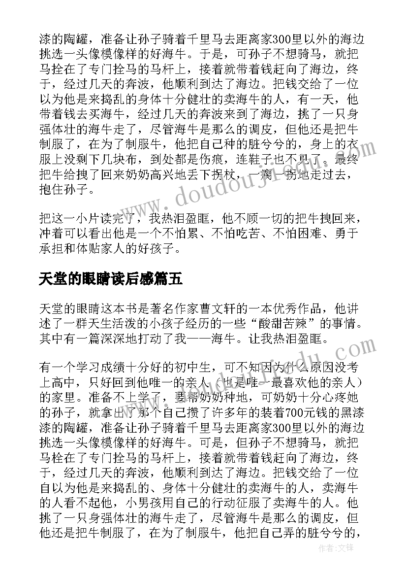 2023年天堂的眼睛读后感(优质5篇)