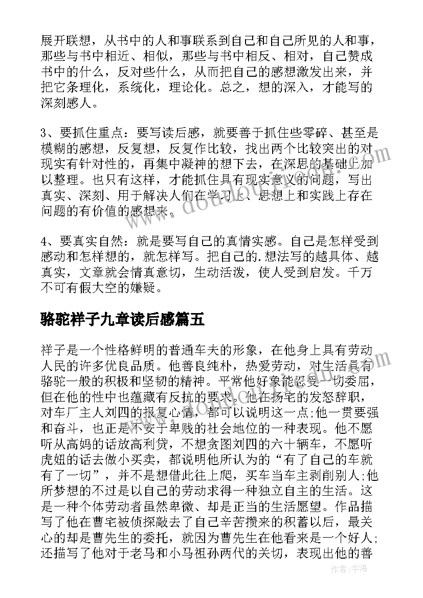 骆驼祥子九章读后感(实用5篇)