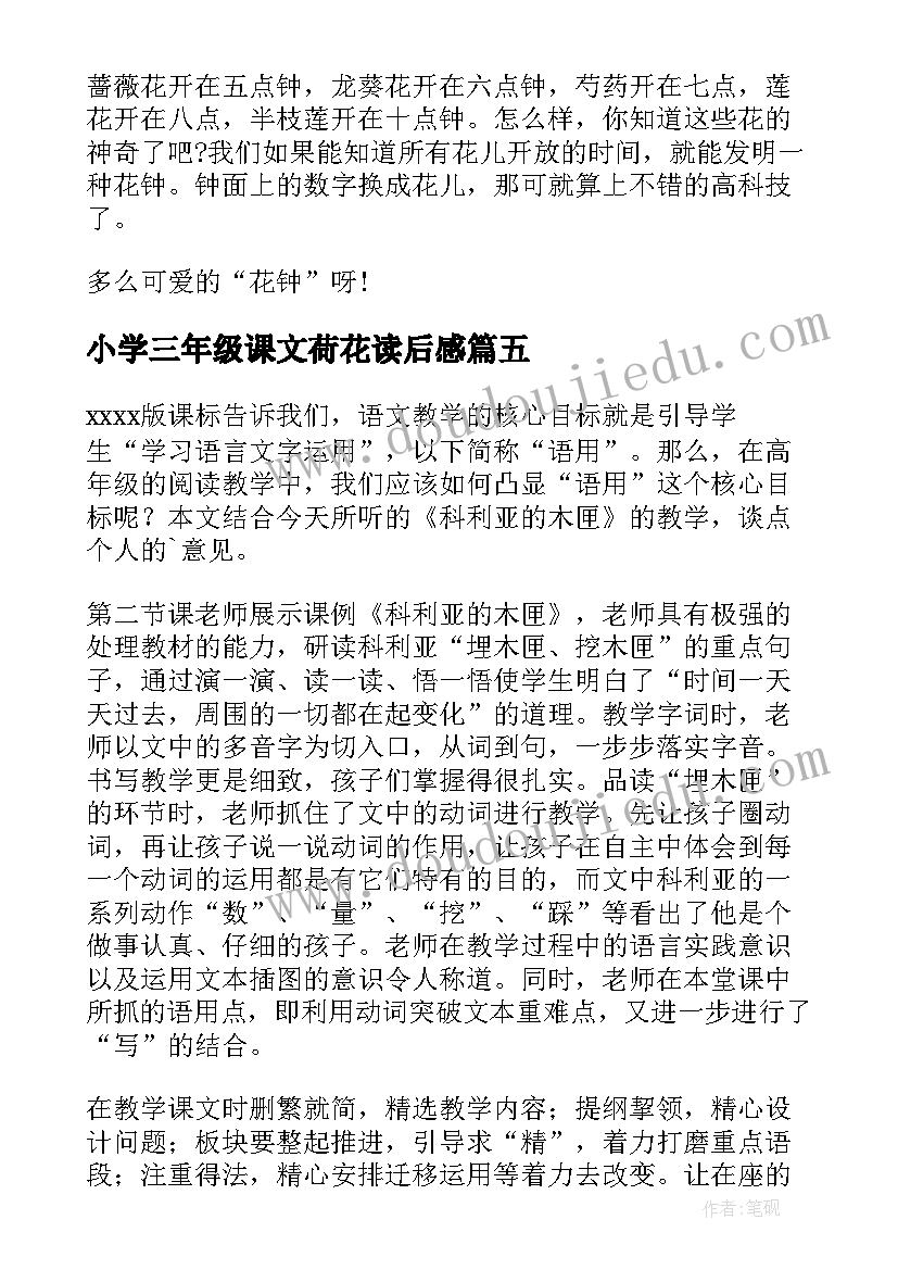 最新小学三年级课文荷花读后感(优质5篇)