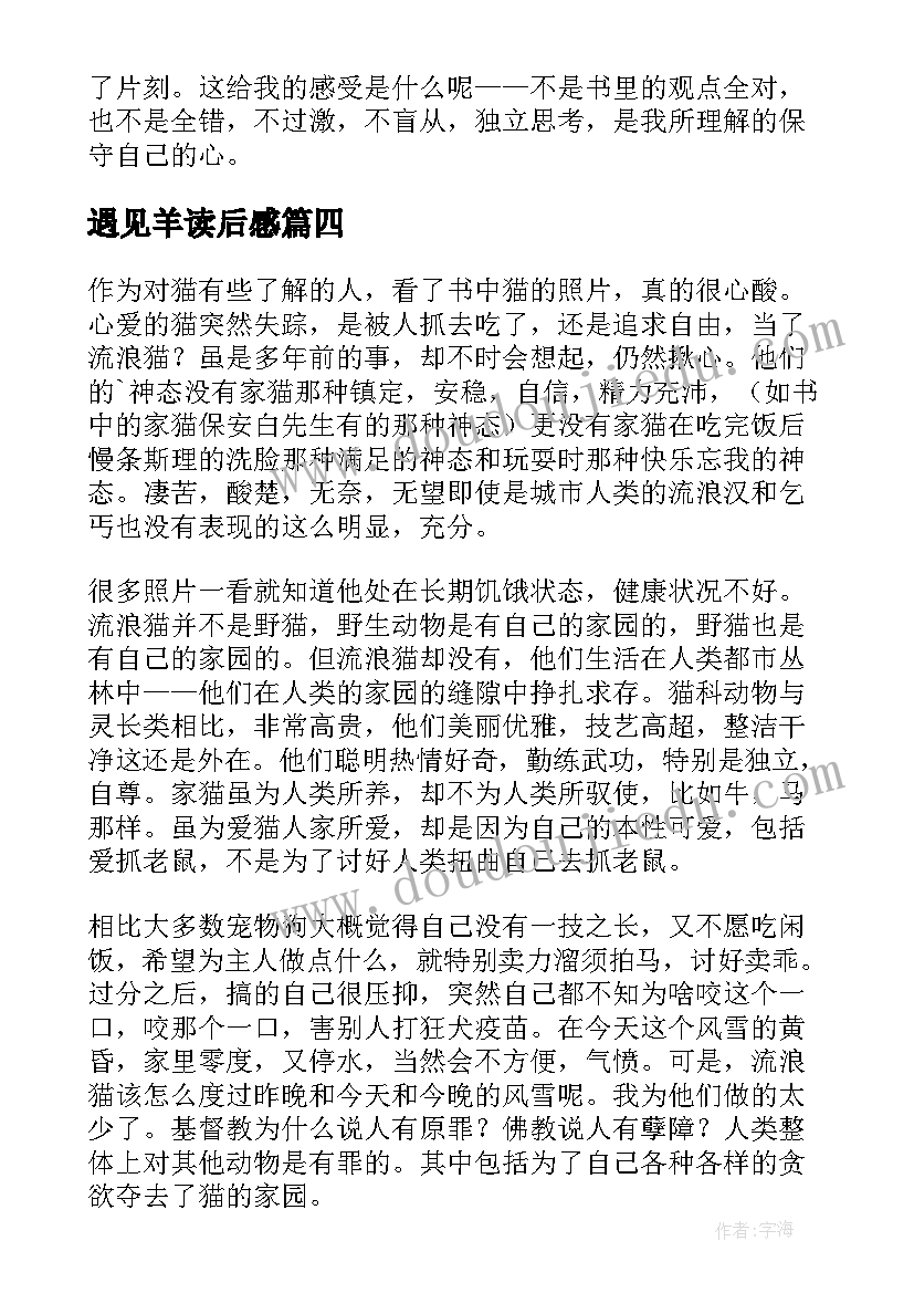 2023年遇见羊读后感(实用9篇)