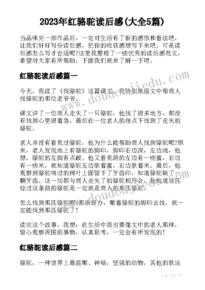 2023年红骆驼读后感(大全5篇)