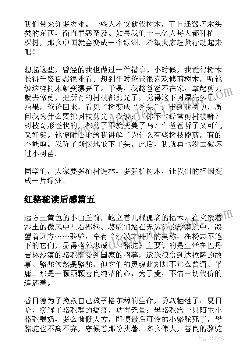 2023年红骆驼读后感(大全5篇)