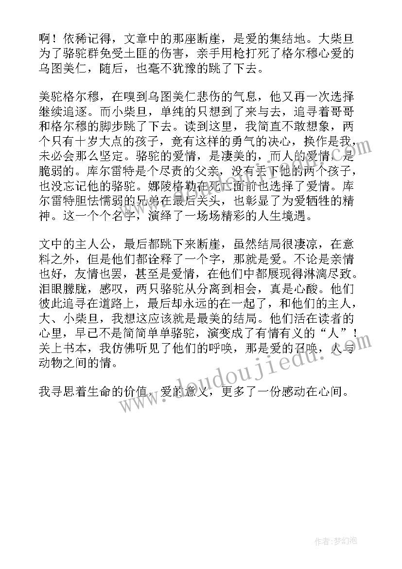 2023年红骆驼读后感(大全5篇)