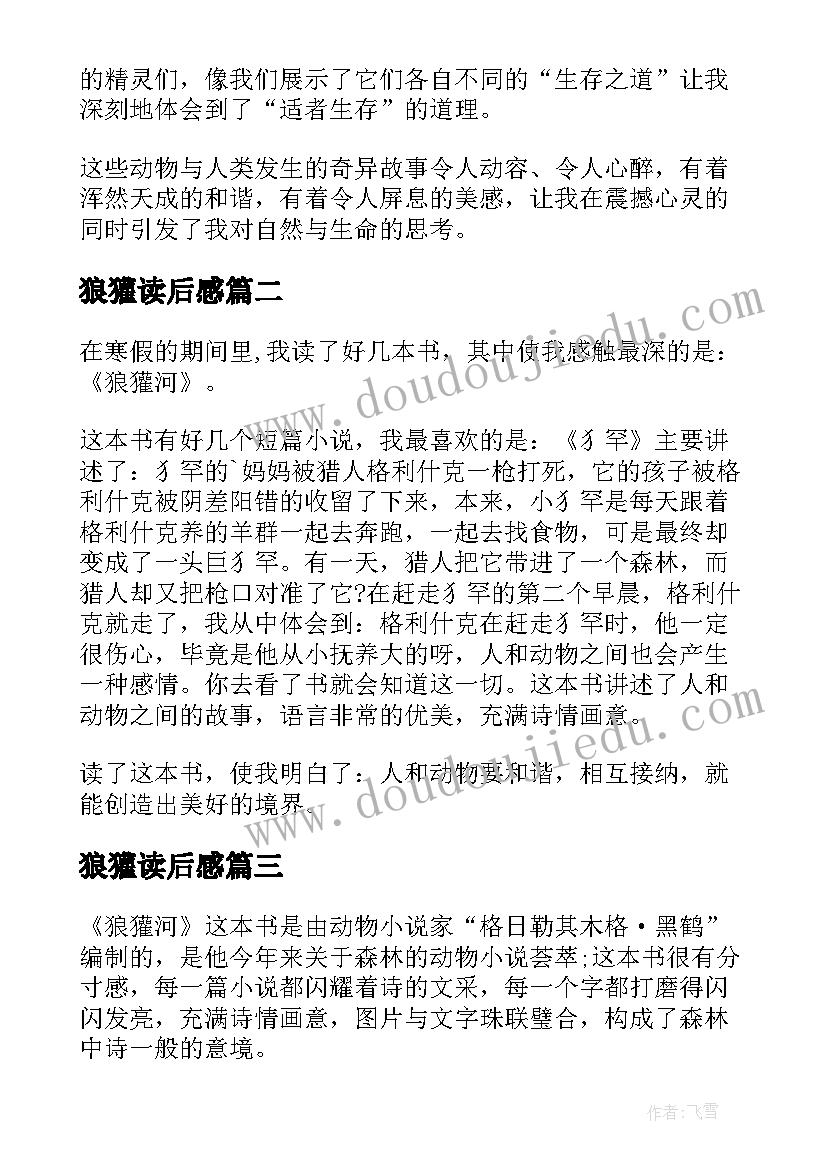 2023年狼獾读后感(汇总5篇)