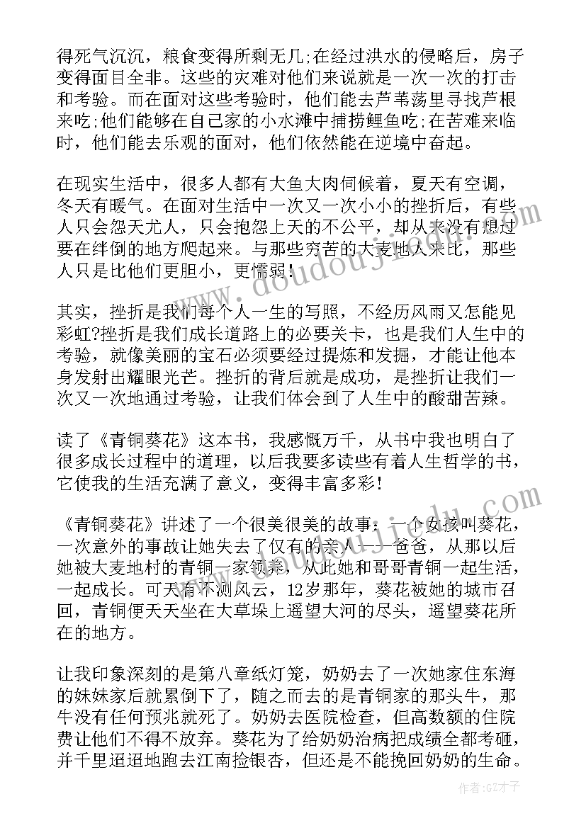 最新青铜葵花读后感例文(大全5篇)