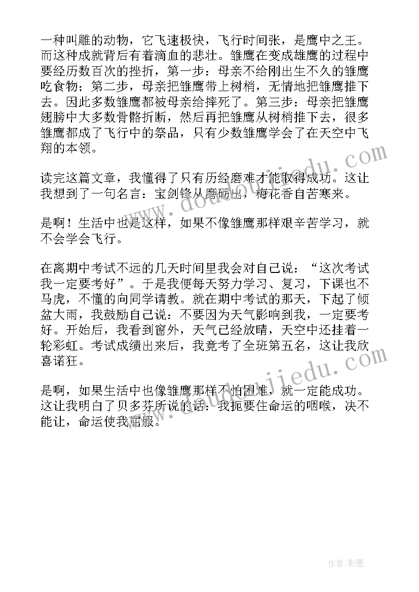 历练读后感(优秀5篇)