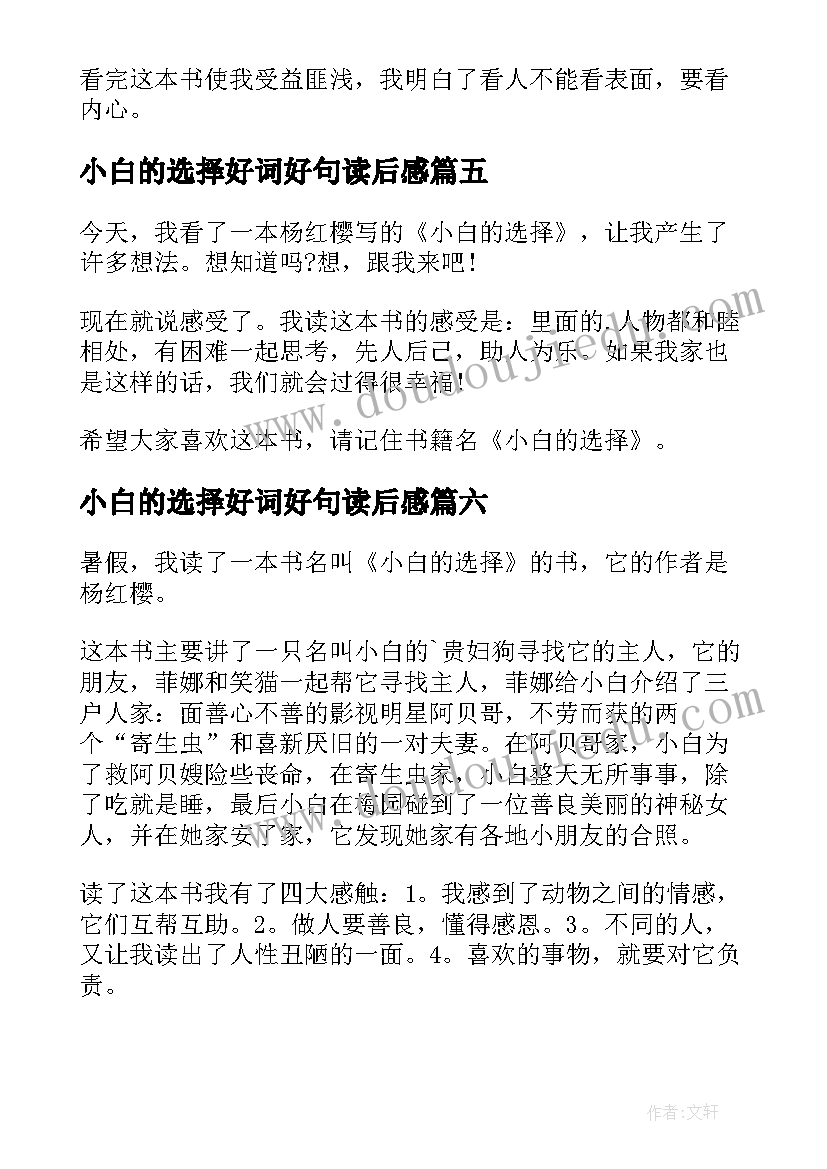 最新小白的选择好词好句读后感 小白的选择读后感(模板10篇)