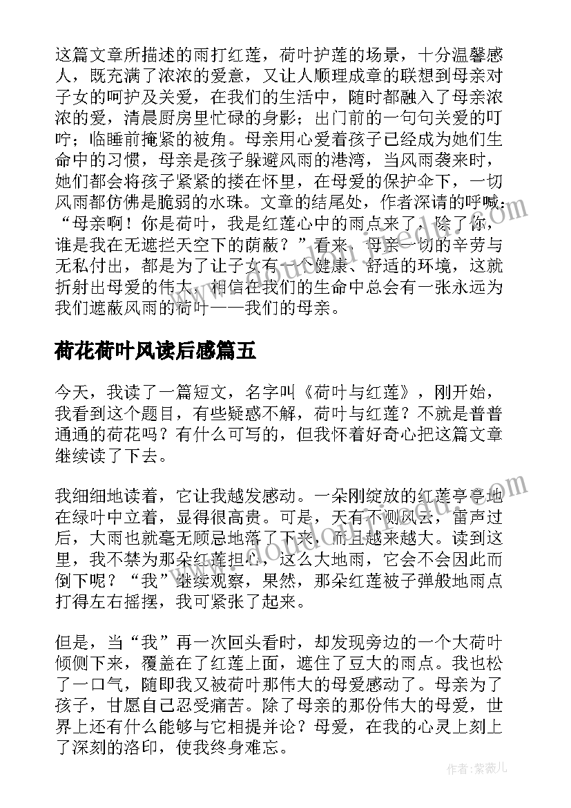 2023年荷花荷叶风读后感(大全10篇)