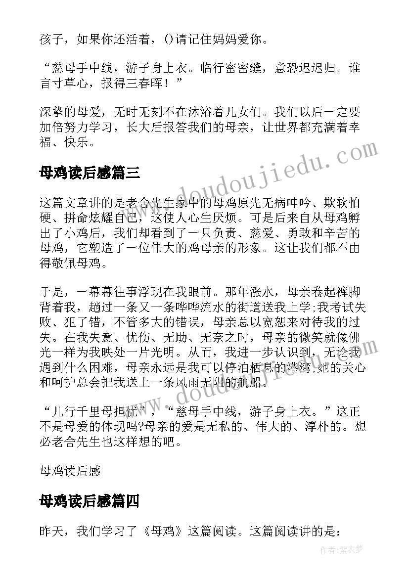 母鸡读后感 母鸡的读后感(汇总7篇)