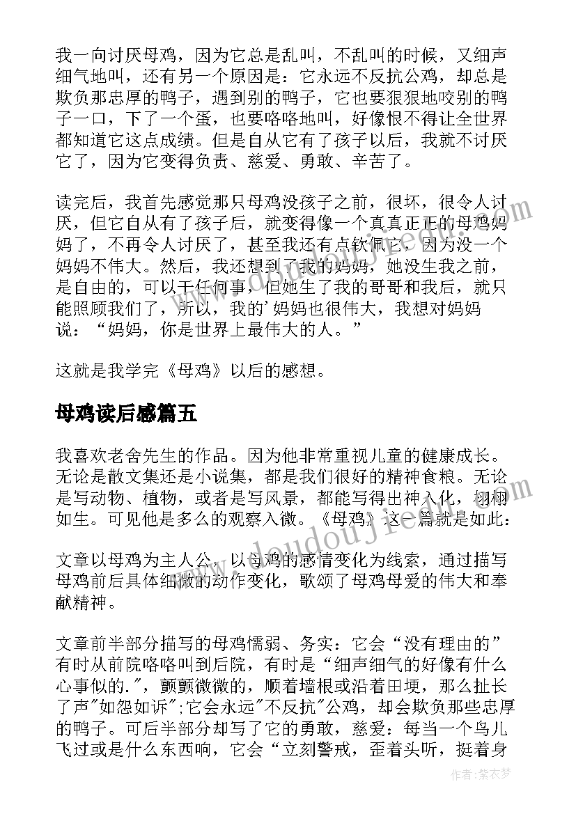 母鸡读后感 母鸡的读后感(汇总7篇)