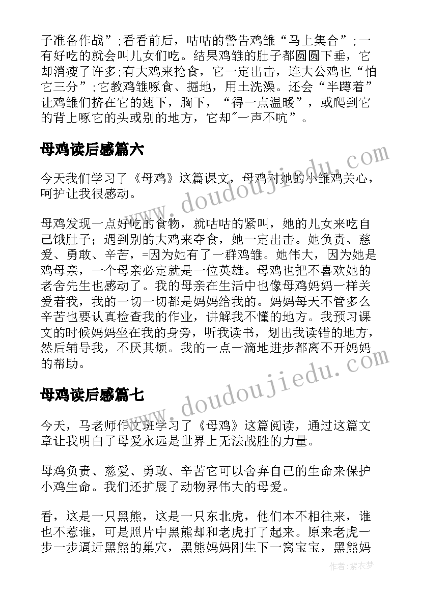 母鸡读后感 母鸡的读后感(汇总7篇)