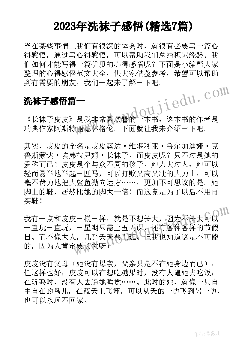 2023年洗袜子感悟(精选7篇)