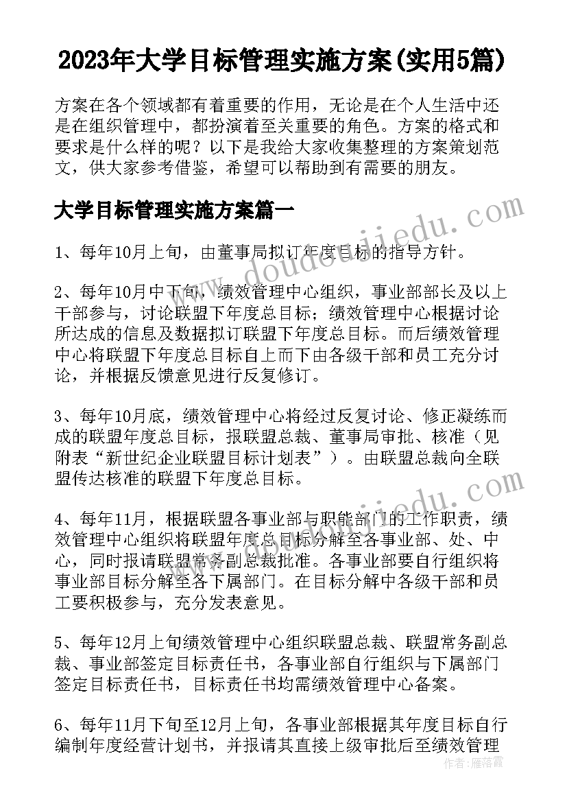 2023年大学目标管理实施方案(实用5篇)