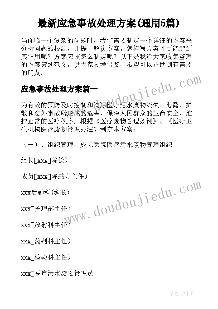 最新应急事故处理方案(通用5篇)