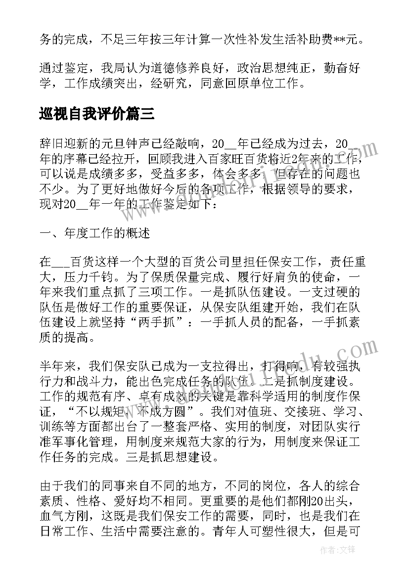 巡视自我评价(汇总5篇)