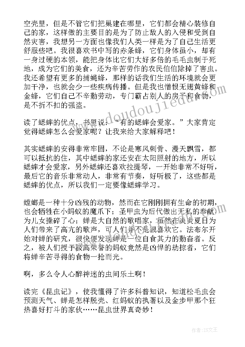 2023年英文读后感手抄报(模板5篇)