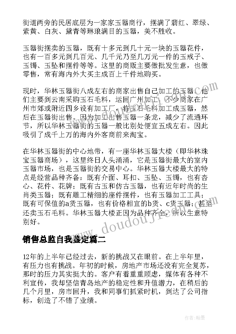 2023年销售总监自我鉴定 销售自我鉴定(优秀7篇)