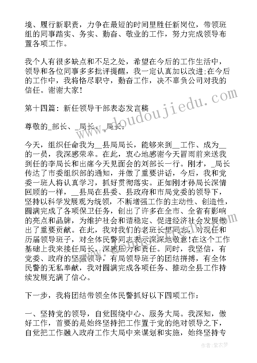 新任领导干部表态发言(实用5篇)