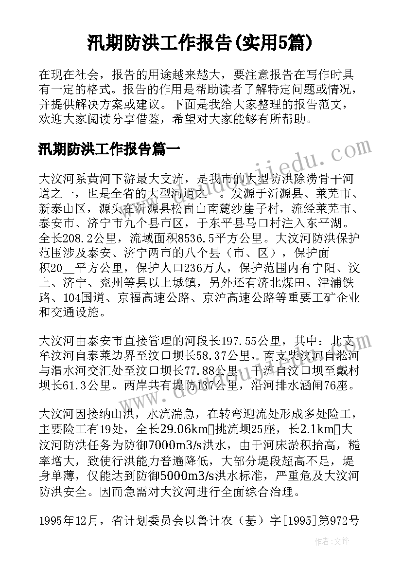 汛期防洪工作报告(实用5篇)