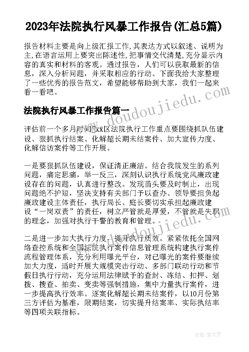 2023年法院执行风暴工作报告(汇总5篇)