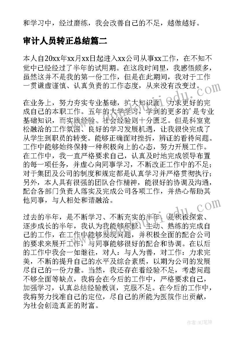 最新审计人员转正总结(实用6篇)