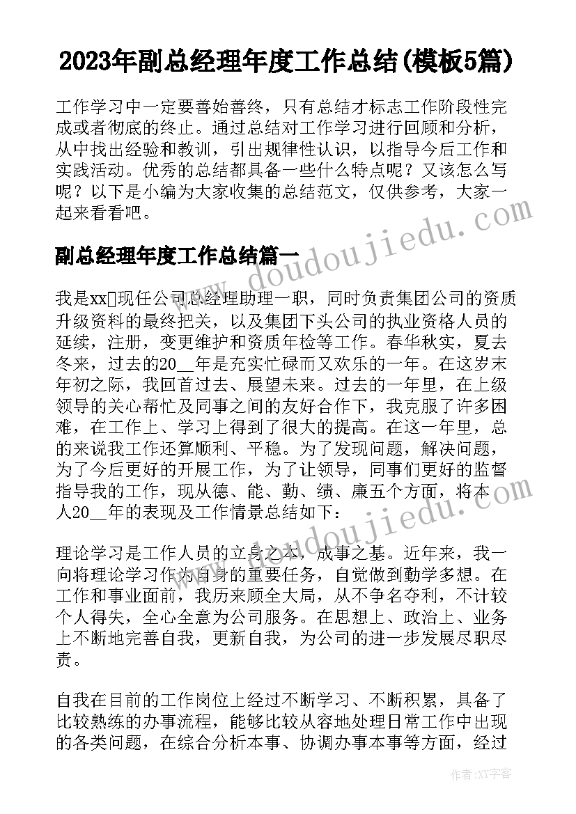 2023年副总经理年度工作总结(模板5篇)