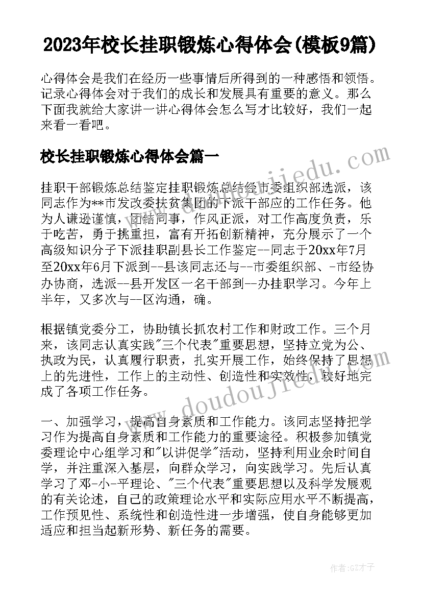 2023年校长挂职锻炼心得体会(模板9篇)