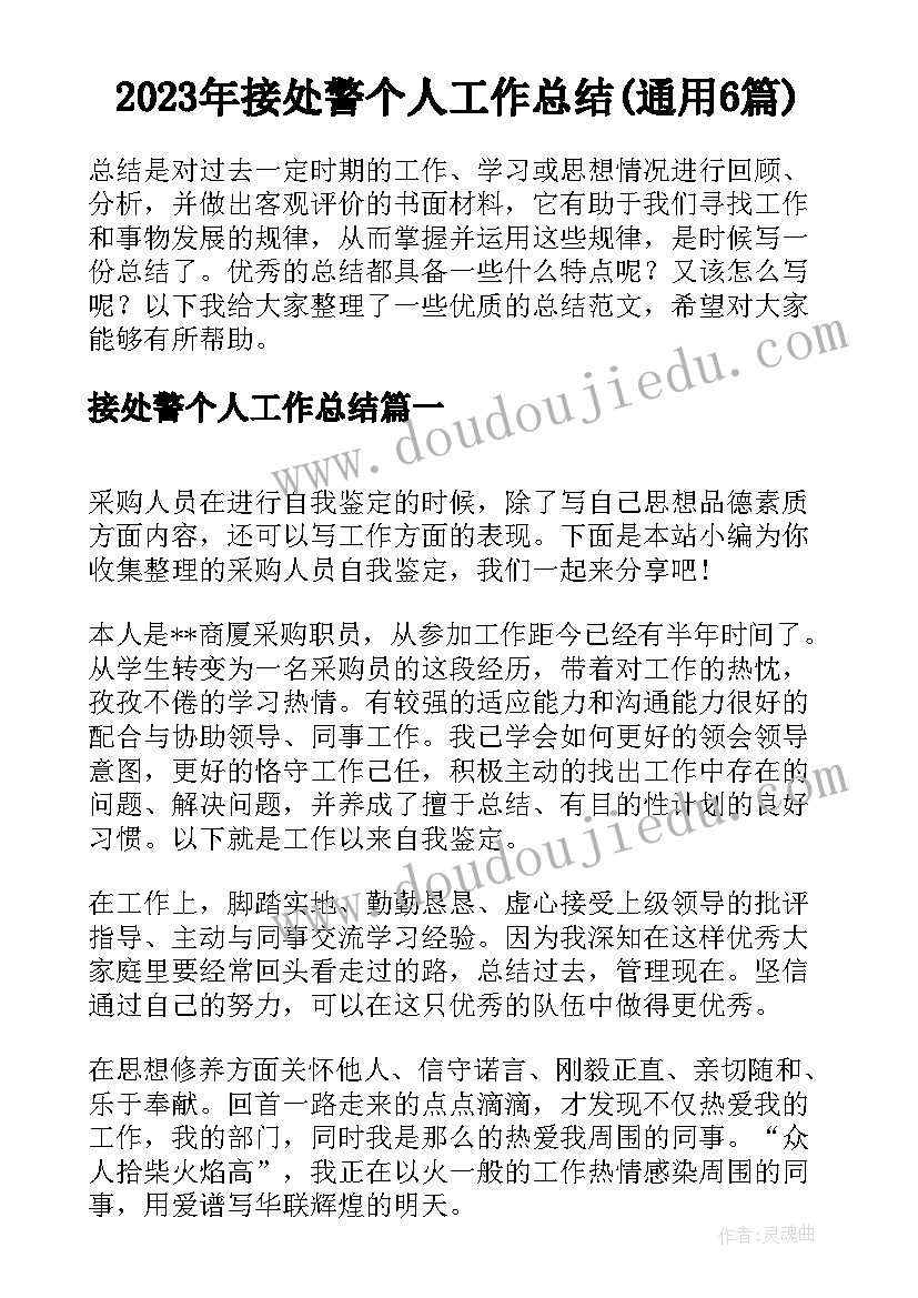 2023年接处警个人工作总结(通用6篇)