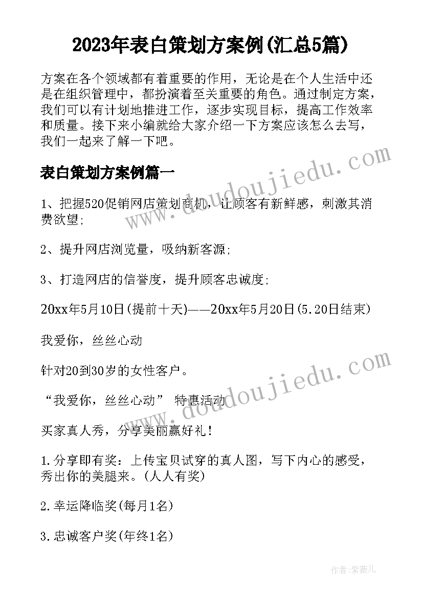 2023年表白策划方案例(汇总5篇)