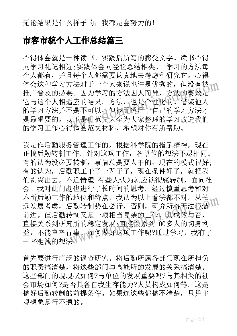 2023年市容市貌个人工作总结 LED工作心得体会(大全6篇)