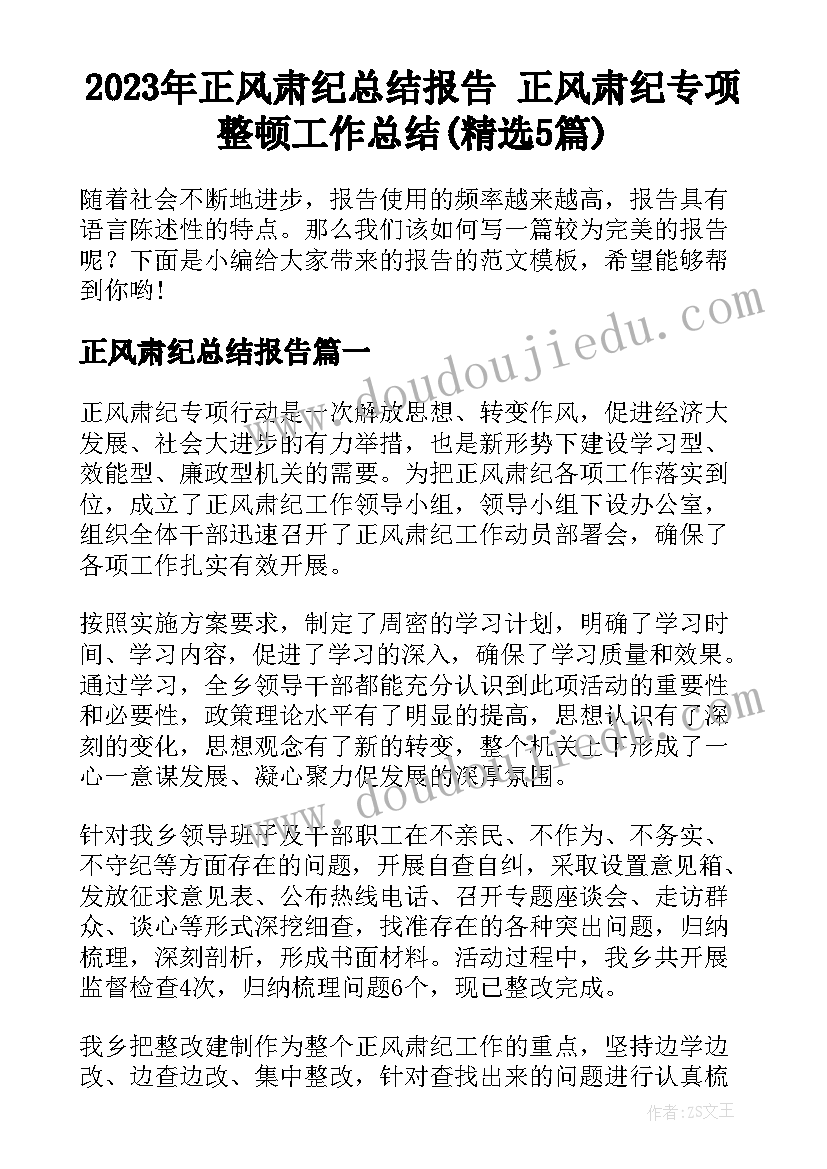 2023年正风肃纪总结报告 正风肃纪专项整顿工作总结(精选5篇)