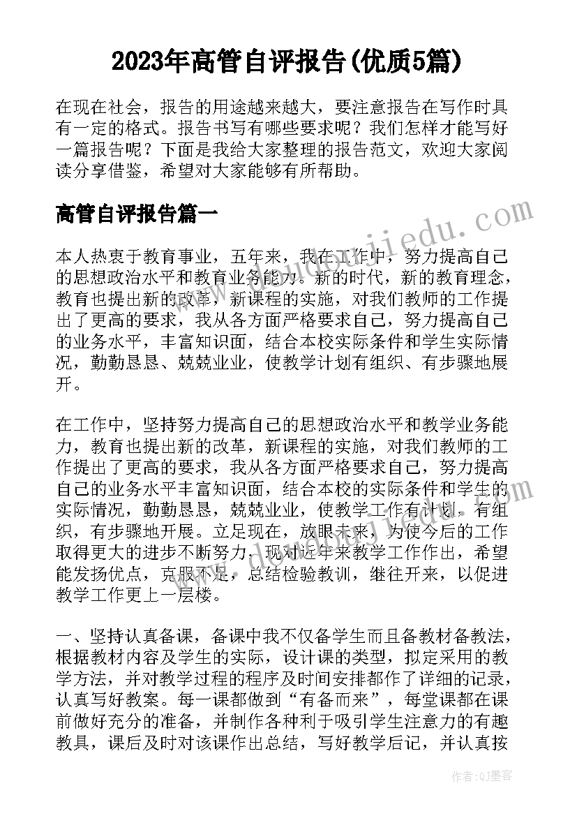 2023年高管自评报告(优质5篇)