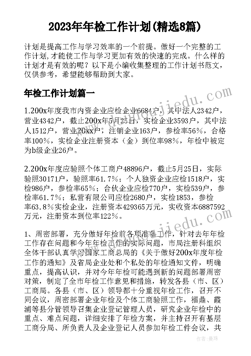 2023年年检工作计划(精选8篇)