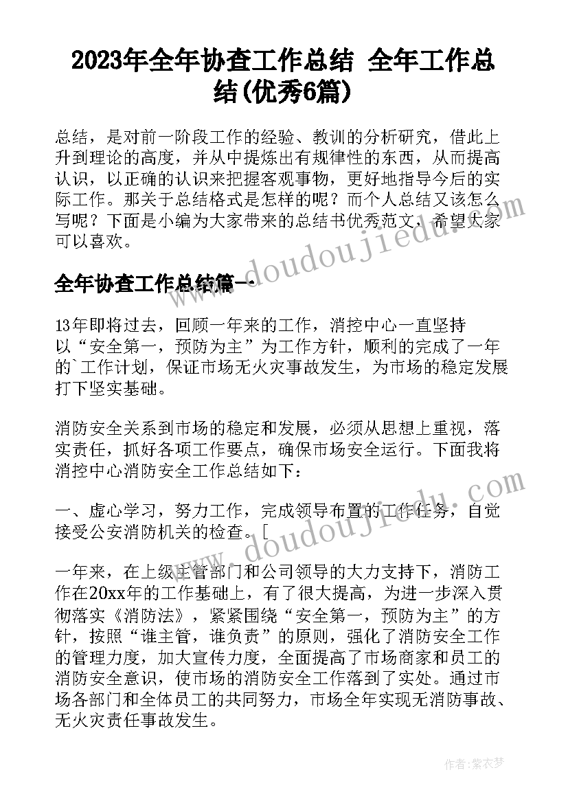 2023年全年协查工作总结 全年工作总结(优秀6篇)