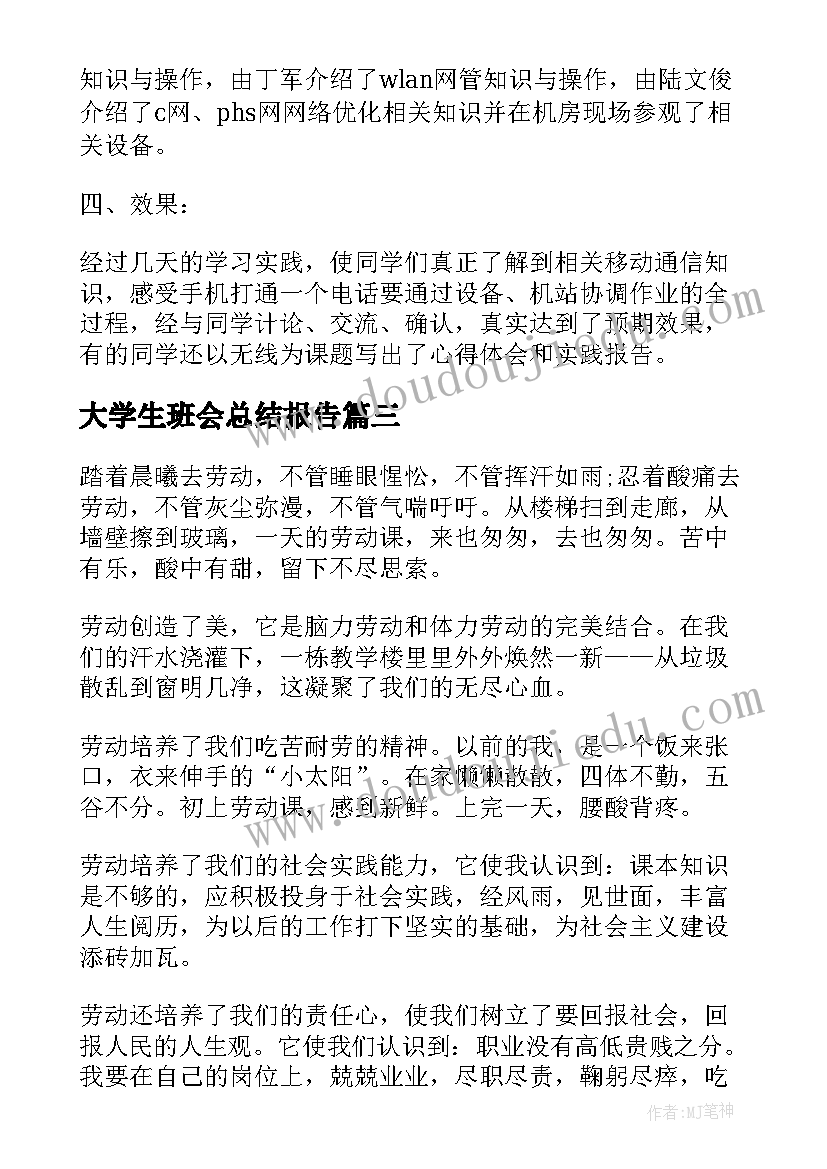 大学生班会总结报告 大学生实践总结报告(通用10篇)