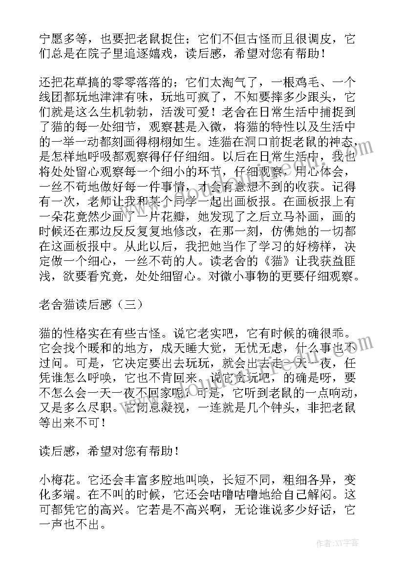 2023年猫老舍读后感 老舍的读后感(优质5篇)