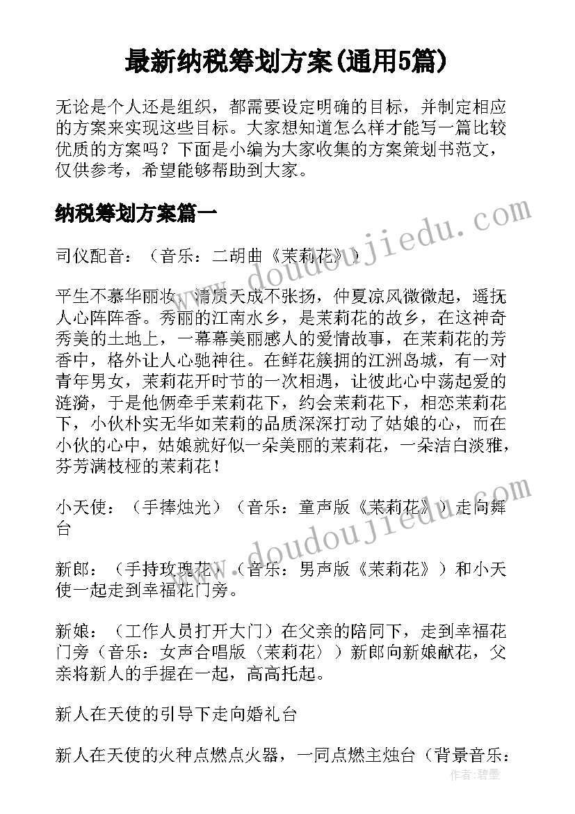 最新纳税筹划方案(通用5篇)