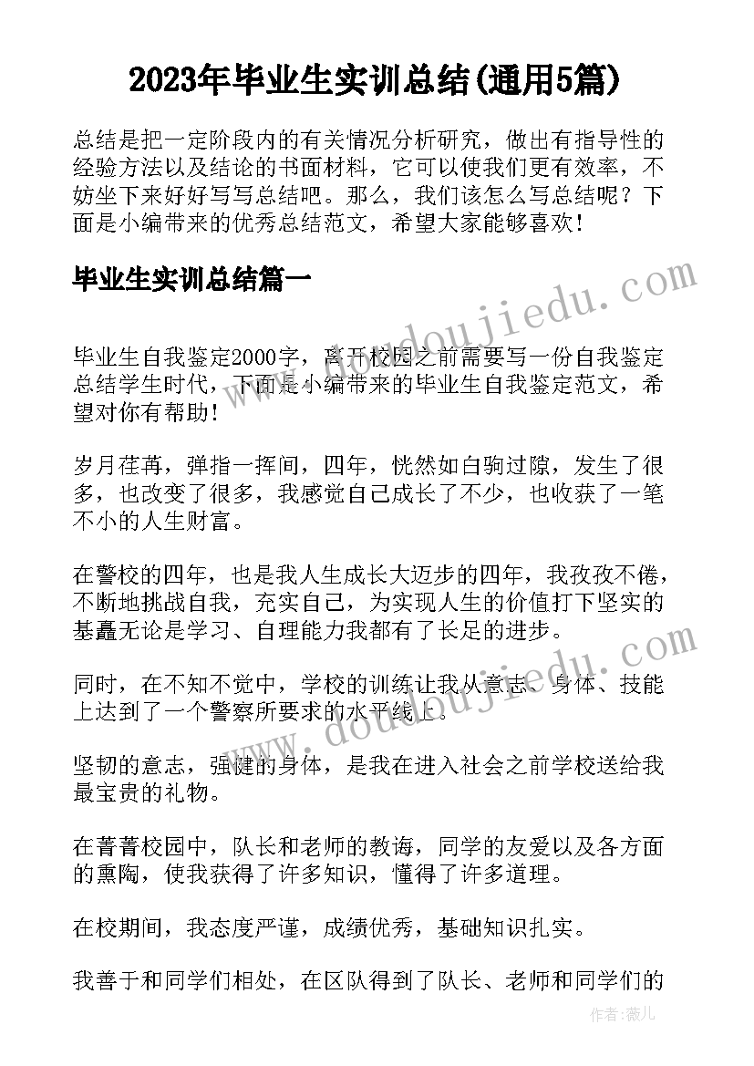 2023年毕业生实训总结(通用5篇)