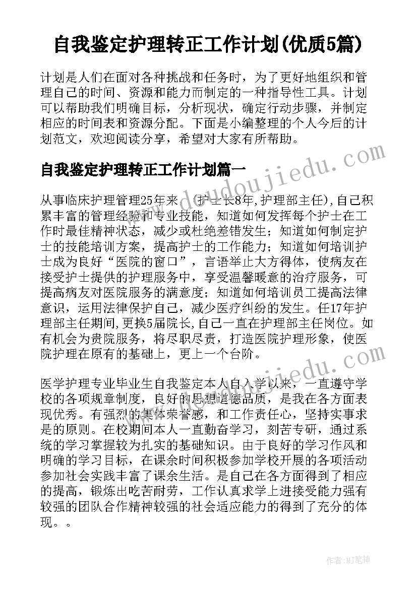 自我鉴定护理转正工作计划(优质5篇)