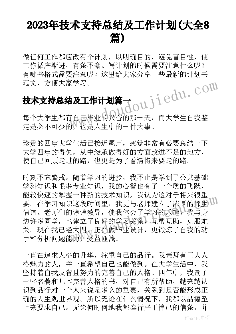 2023年技术支持总结及工作计划(大全8篇)