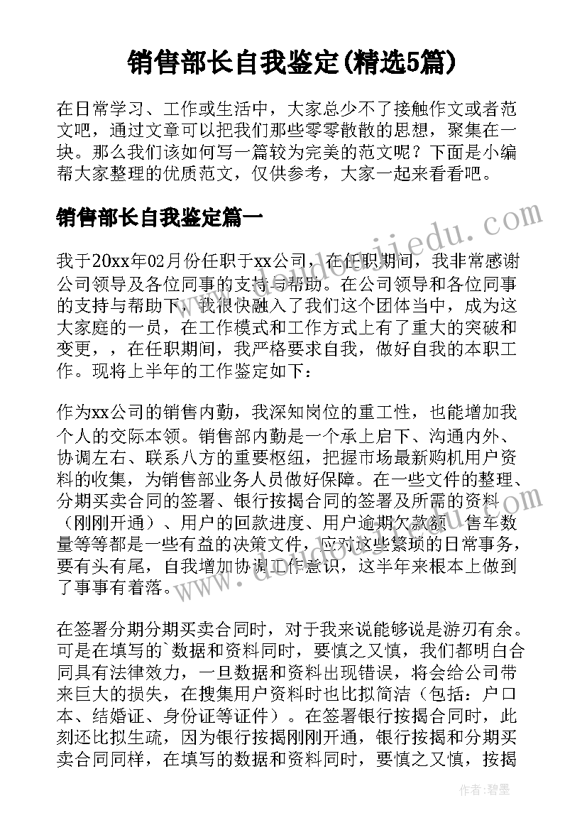 销售部长自我鉴定(精选5篇)