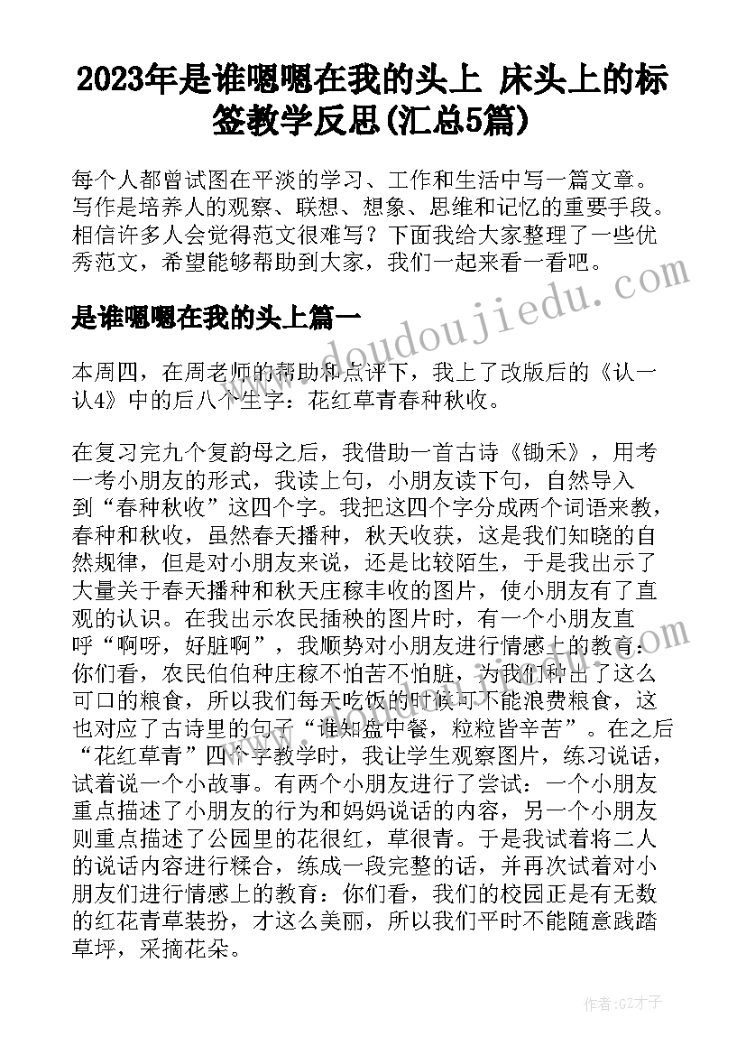 2023年是谁嗯嗯在我的头上 床头上的标签教学反思(汇总5篇)